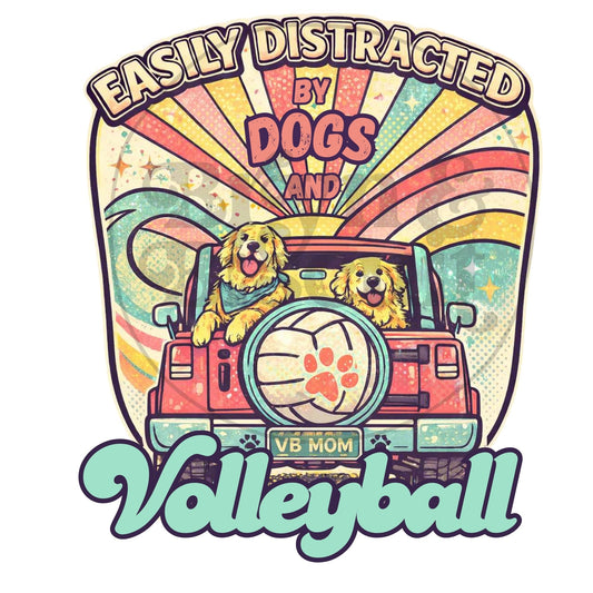 Easily Distracted By Dogs and Volleyball